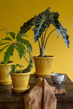 Bergs Potter Copenhagen Pot Geglazuurd Ø14 Cm -Mooi Huis Verkoop 46739 04 4 EnvironmentImage e501bd4fae