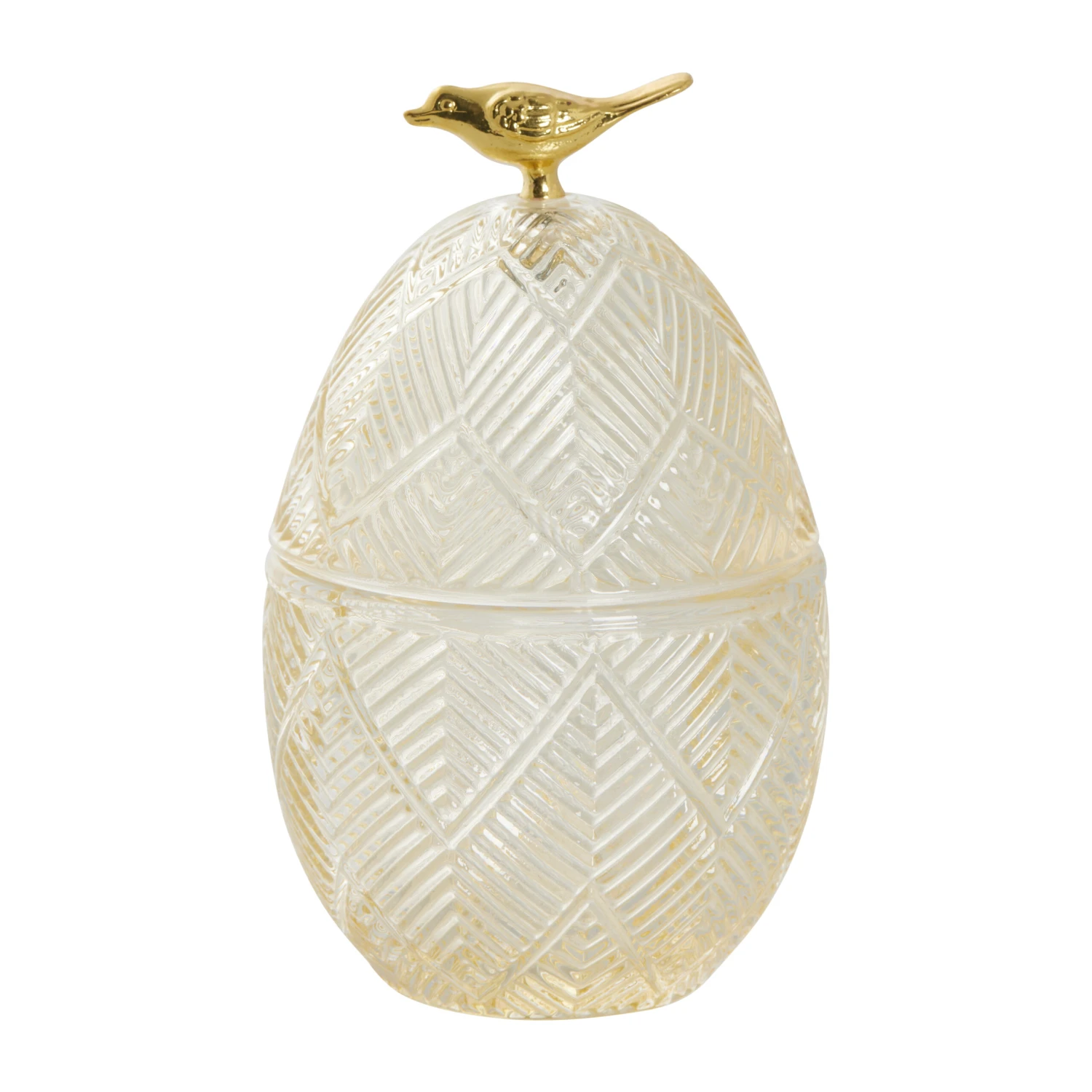 Esmia Paasei 15 Cm 3 Esmia Paasei 15 Cm